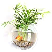 DRhomehouse Decoración del hogar Montaje en Pared Tanques de Peces Goldfish Bowl Acrílico Colgando Acuarios Florero…